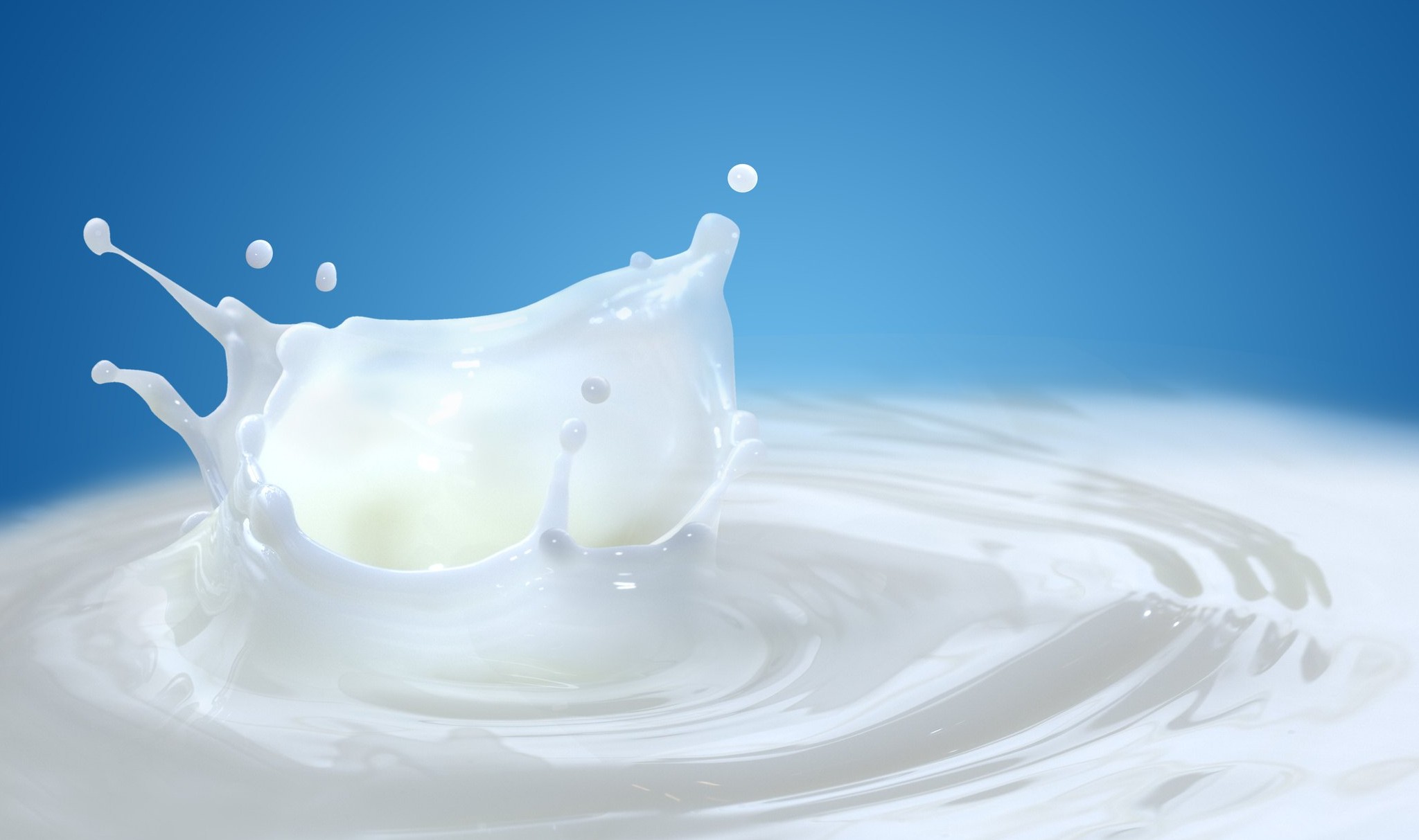 Exploring Wellhealthorganic Buffalo Milk A Comprehensive Guide